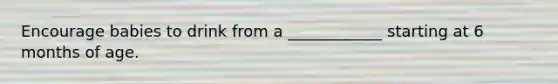 Encourage babies to drink from a ____________ starting at 6 months of age.