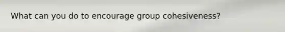 What can you do to encourage group cohesiveness?