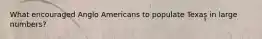 What encouraged Anglo Americans to populate Texas in large numbers?