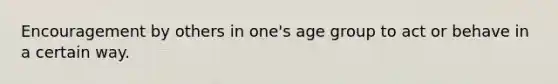 Encouragement by others in one's age group to act or behave in a certain way.