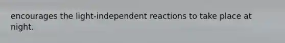 encourages the light-independent reactions to take place at night.