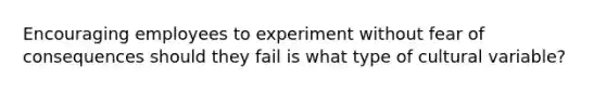 Encouraging employees to experiment without fear of consequences should they fail is what type of cultural variable?