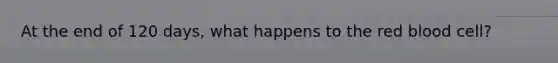 At the end of 120 days, what happens to the red blood cell?