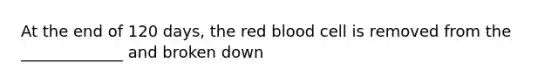 At the end of 120 days, the red blood cell is removed from the _____________ and broken down