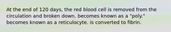 At the end of 120 days, the red blood cell is removed from the circulation and broken down. becomes known as a "poly." becomes known as a reticulocyte. is converted to fibrin.