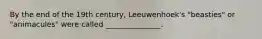 By the end of the 19th century, Leeuwenhoek's "beasties" or "animacules" were called _______________.