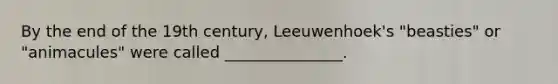 By the end of the 19th century, Leeuwenhoek's "beasties" or "animacules" were called _______________.