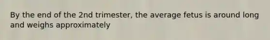 By the end of the 2nd trimester, the average fetus is around long and weighs approximately
