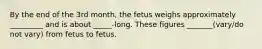 By the end of the 3rd month, the fetus weighs approximately _________ and is about _____-long. These figures _______(vary/do not vary) from fetus to fetus.