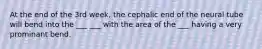 At the end of the 3rd week, the cephalic end of the neural tube will bend into the ___ ___ with the area of the ___ having a very prominant bend.