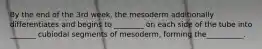 By the end of the 3rd week, the mesoderm additionally differentiates and begins to ________ on each side of the tube into _______ cubiodal segments of mesoderm, forming the__________.