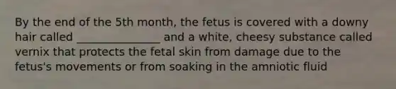 By the end of the 5th month, the fetus is covered with a downy hair called _______________ and a white, cheesy substance called vernix that protects the fetal skin from damage due to the fetus's movements or from soaking in the amniotic fluid