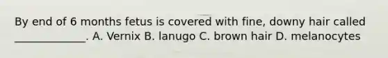 By end of 6 months fetus is covered with fine, downy hair called _____________. A. Vernix B. lanugo C. brown hair D. melanocytes