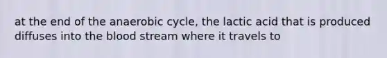 at the end of the anaerobic cycle, the lactic acid that is produced diffuses into the blood stream where it travels to