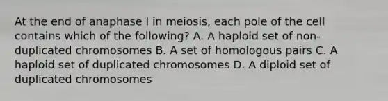 At the end of anaphase I in meiosis, each pole of the cell contains which of the following? A. A haploid set of non-duplicated chromosomes B. A set of homologous pairs C. A haploid set of duplicated chromosomes D. A diploid set of duplicated chromosomes