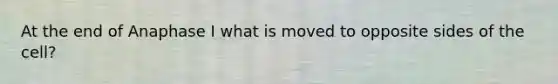 At the end of Anaphase I what is moved to opposite sides of the cell?