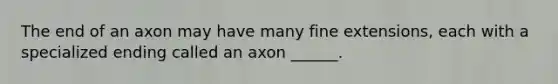 The end of an axon may have many fine extensions, each with a specialized ending called an axon ______.