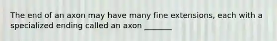 The end of an axon may have many fine extensions, each with a specialized ending called an axon _______