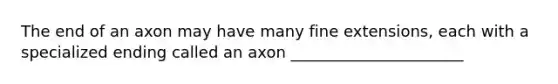 The end of an axon may have many fine extensions, each with a specialized ending called an axon ______________________