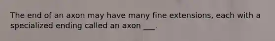 The end of an axon may have many fine extensions, each with a specialized ending called an axon ___.