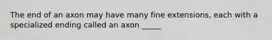 The end of an axon may have many fine extensions, each with a specialized ending called an axon _____