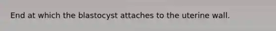 End at which the blastocyst attaches to the uterine wall.