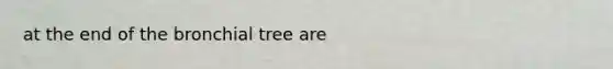 at the end of the bronchial tree are