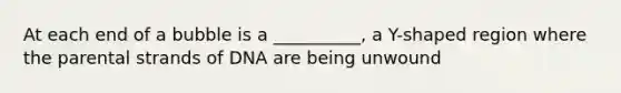 At each end of a bubble is a __________, a Y-shaped region where the parental strands of DNA are being unwound