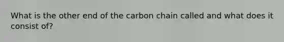 What is the other end of the carbon chain called and what does it consist of?