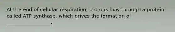 At the end of cellular respiration, protons flow through a protein called ATP synthase, which drives the formation of __________________.