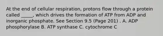 At the end of cellular respiration, protons flow through a protein called _____, which drives the formation of ATP from ADP and inorganic phosphate. See Section 9.5 (Page 201) . A. ADP phosphorylase B. ATP synthase C. cytochrome C