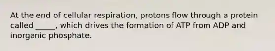 At the end of cellular respiration, protons flow through a protein called _____, which drives the formation of ATP from ADP and inorganic phosphate.