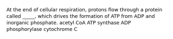 At the end of cellular respiration, protons flow through a protein called _____, which drives the formation of ATP from ADP and inorganic phosphate. acetyl CoA ATP synthase ADP phosphorylase cytochrome C