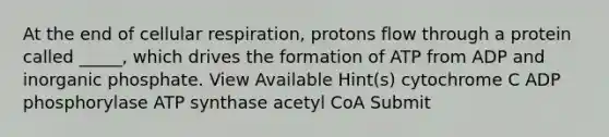 At the end of <a href='https://www.questionai.com/knowledge/k1IqNYBAJw-cellular-respiration' class='anchor-knowledge'>cellular respiration</a>, protons flow through a protein called _____, which drives the formation of ATP from ADP and inorganic phosphate. View Available Hint(s) cytochrome C ADP phosphorylase ATP synthase acetyl CoA Submit