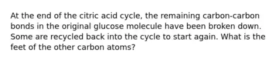 At the end of the citric acid cycle, the remaining carbon-carbon bonds in the original glucose molecule have been broken down. Some are recycled back into the cycle to start again. What is the feet of the other carbon atoms?