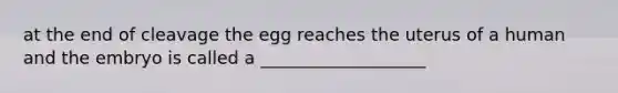 at the end of cleavage the egg reaches the uterus of a human and the embryo is called a ___________________