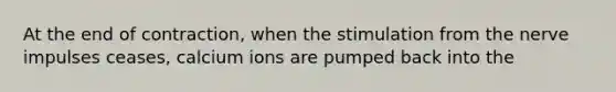 At the end of contraction, when the stimulation from the nerve impulses ceases, calcium ions are pumped back into the