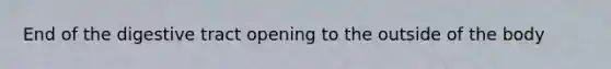 End of the digestive tract opening to the outside of the body