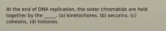 At the end of DNA replication, the sister chromatids are held together by the _____. (a) kinetochores. (b) securins. (c) cohesins. (d) histones.