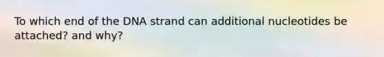 To which end of the DNA strand can additional nucleotides be attached? and why?