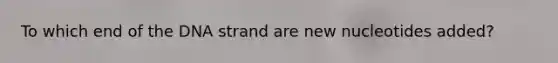 To which end of the DNA strand are new nucleotides added?