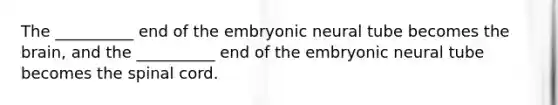 The __________ end of the embryonic neural tube becomes the brain, and the __________ end of the embryonic neural tube becomes the spinal cord.