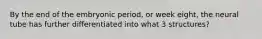 By the end of the embryonic period, or week eight, the neural tube has further differentiated into what 3 structures?