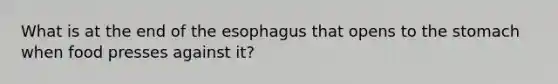 What is at the end of the esophagus that opens to the stomach when food presses against it?