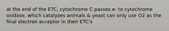 at the end of the ETC, cytochrome C passes e- to cytochrome oxidase, which catalyzes animals & yeast can only use O2 as the final electron acceptor in their ETC's