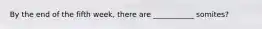 By the end of the fifth week, there are ___________ somites?