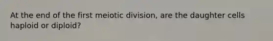 At the end of the first meiotic division, are the daughter cells haploid or diploid?