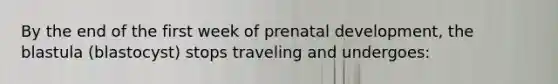 By the end of the first week of prenatal development, the blastula (blastocyst) stops traveling and undergoes: