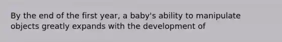 By the end of the first year, a baby's ability to manipulate objects greatly expands with the development of