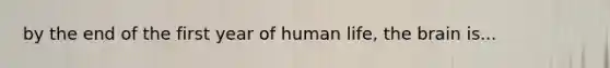 by the end of the first year of human life, the brain is...